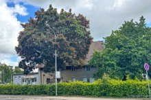 Ansicht Attraktives Grundst�ck f�r Wohnen und Gewerbe in Oerlinghausen-Helpup